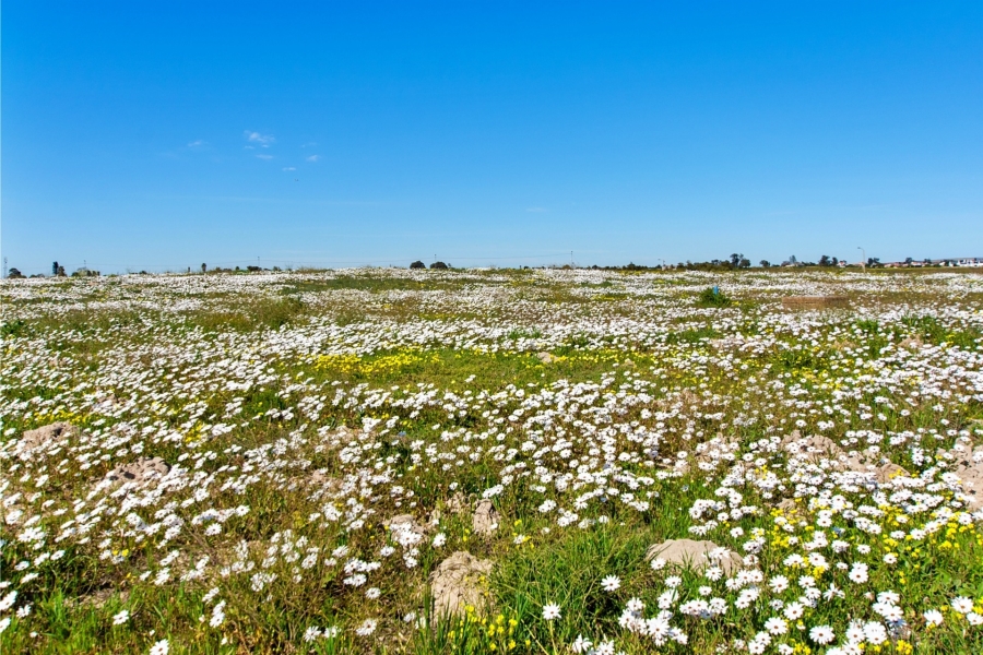 3 Bedroom Property for Sale in Velddrif Western Cape